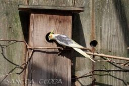 2019_04_24_Tierpark_Nordhorn_039