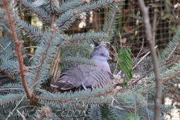 2019_04_24_Tierpark_Nordhorn_041