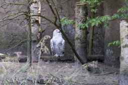 2019_04_24_Tierpark_Nordhorn_044