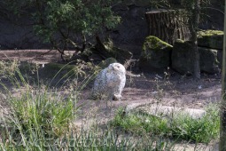 2019_04_24_Tierpark_Nordhorn_045