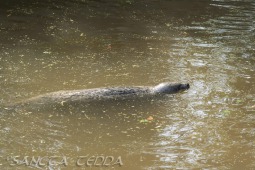 2019_04_24_Tierpark_Nordhorn_047