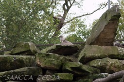 2019_04_24_Tierpark_Nordhorn_058