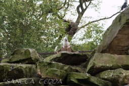 2019_04_24_Tierpark_Nordhorn_060