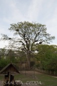 2019_04_24_Tierpark_Nordhorn_061