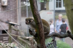 2019_04_24_Tierpark_Nordhorn_062