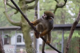 2019_04_24_Tierpark_Nordhorn_063