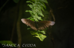 2024_03_26_Zoo_Emmen_005