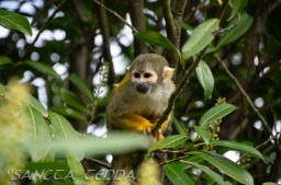 2024_03_26_Zoo_Emmen_008