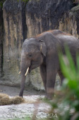 2024_03_26_Zoo_Emmen_010