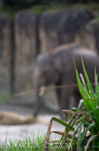 2024_03_26_Zoo_Emmen_011