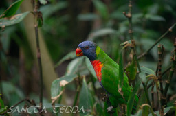 2024_03_26_Zoo_Emmen_012