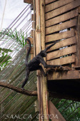 2024_03_26_Zoo_Emmen_013