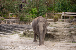 2024_03_26_Zoo_Emmen_015