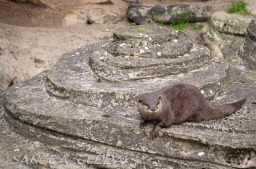 2024_03_26_Zoo_Emmen_017