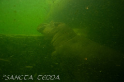 2024_03_26_Zoo_Emmen_023