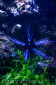 2024_03_26_Zoo_Emmen_026