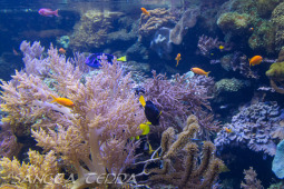 2024_05_20_Zoo_Duisburg_003