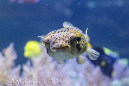 2024_05_20_Zoo_Duisburg_004