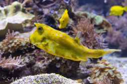 2024_05_20_Zoo_Duisburg_005