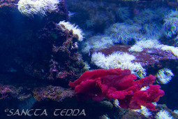 2024_05_20_Zoo_Duisburg_008