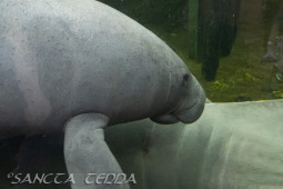 2024_05_20_Zoo_Duisburg_010