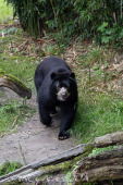 2024_05_20_Zoo_Duisburg_011