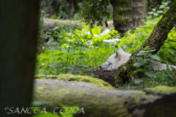 2024_05_20_Zoo_Duisburg_021