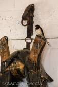 2024_05_20_Zoo_Duisburg_022