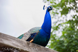 2024_05_20_Zoo_Duisburg_024