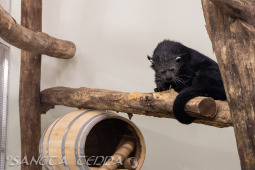 2024_05_20_Zoo_Duisburg_037