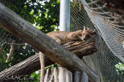 2024_05_20_Zoo_Duisburg_039