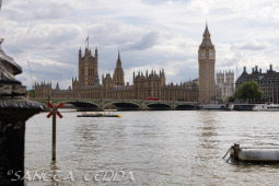 2024_07_10_England_026