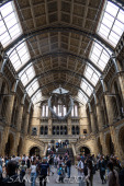 2024_07_10_England_034