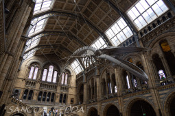 2024_07_10_England_036