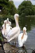2024_07_10_England_063