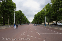 2024_07_10_England_068