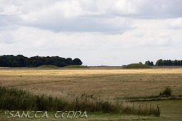2024_07_10_England_074