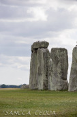 2024_07_10_England_076
