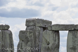 2024_07_10_England_078
