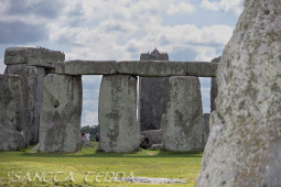 2024_07_10_England_080