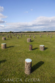 2024_07_10_England_085
