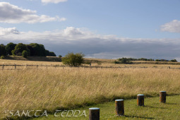 2024_07_10_England_086