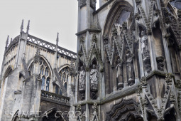 2024_07_10_England_095
