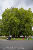 2024_07_10_England_119