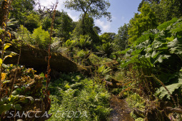 2024_07_10_England_165