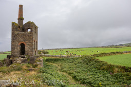 2024_07_10_England_207