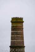 2024_07_10_England_209