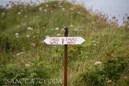 2024_07_10_England_210