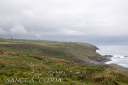 2024_07_10_England_224