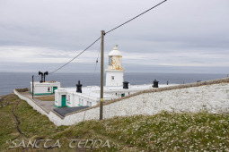 2024_07_10_England_226